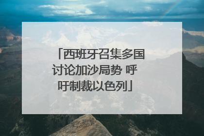 西班牙召集多国讨论加沙局势 呼吁制裁以色列