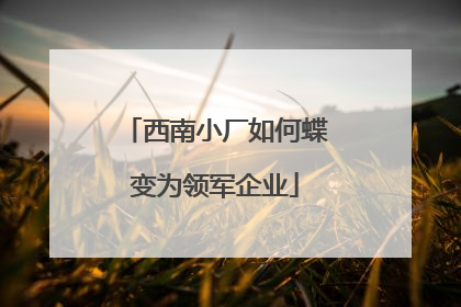 西南小厂如何蝶变为领军企业