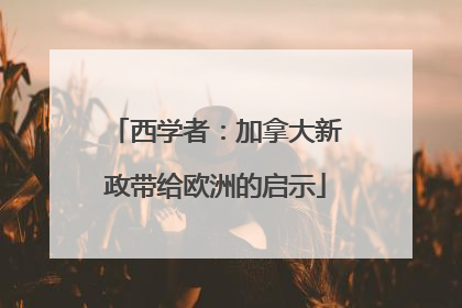 西学者：加拿大新政带给欧洲的启示