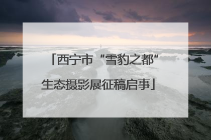西宁市“雪豹之都”生态摄影展征稿启事