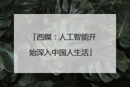 西媒：人工智能开始深入中国人生活
