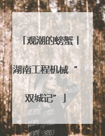 观潮的螃蟹丨湖南工程机械“双城记”