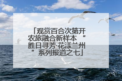 观赏百合次第开 农旅融合新样本 “胜日寻芳·花漾兰州”系列报道之七