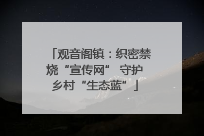 观音阁镇：织密禁烧“宣传网” 守护乡村“生态蓝”