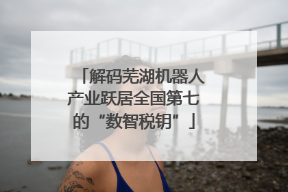 解码芜湖机器人产业跃居全国第七的“数智税钥”