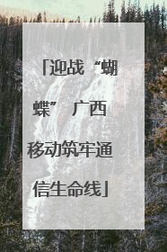 迎战“蝴蝶” 广西移动筑牢通信生命线