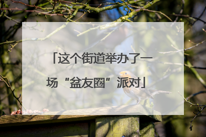 这个街道举办了一场“盆友圈”派对