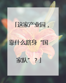 这家产业园，靠什么跻身“国家队”？