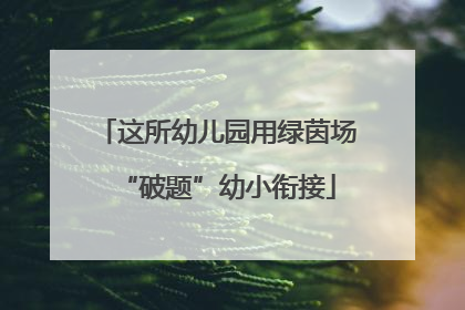 这所幼儿园用绿茵场“破题”幼小衔接