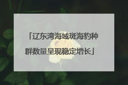 辽东湾海域斑海豹种群数量呈现稳定增长