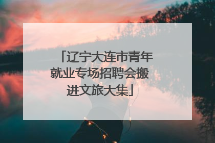 辽宁大连市青年就业专场招聘会搬进文旅大集