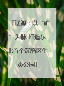 辽源：以“矿”为脉 打造东北首个沉陷区生态公园