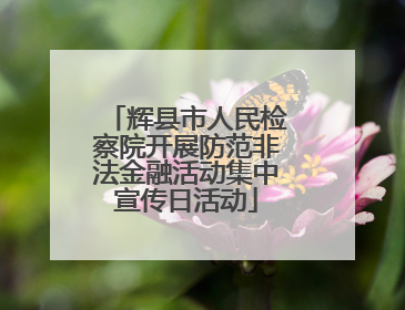 辉县市人民检察院开展防范非法金融活动集中宣传日活动