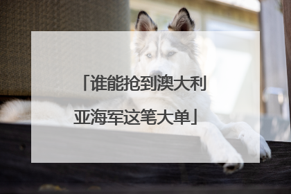 谁能抢到澳大利亚海军这笔大单