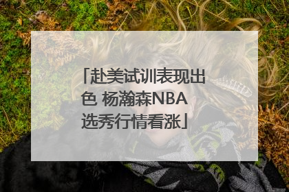 赴美试训表现出色 杨瀚森NBA选秀行情看涨