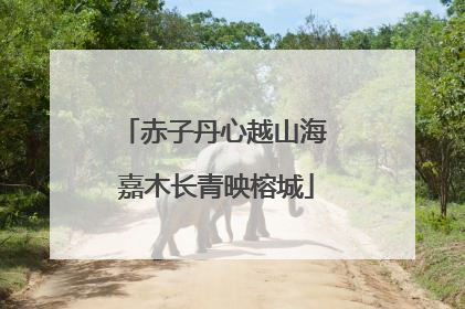 赤子丹心越山海 嘉木长青映榕城
