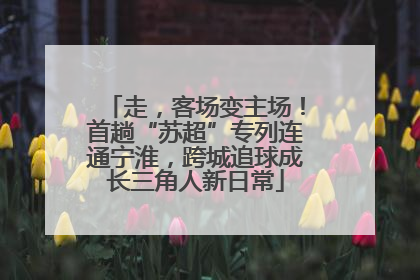 走，客场变主场！首趟“苏超”专列连通宁淮，跨城追球成长三角人新日常