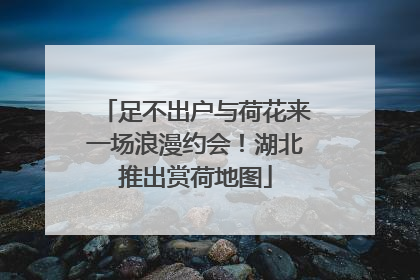 足不出户与荷花来一场浪漫约会！湖北推出赏荷地图