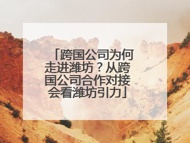 跨国公司为何走进潍坊？从跨国公司合作对接会看潍坊引力