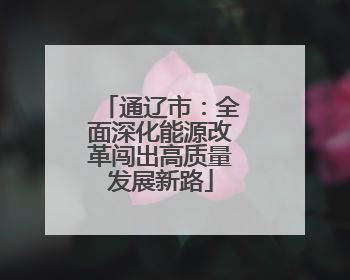 通辽市：全面深化能源改革闯出高质量发展新路