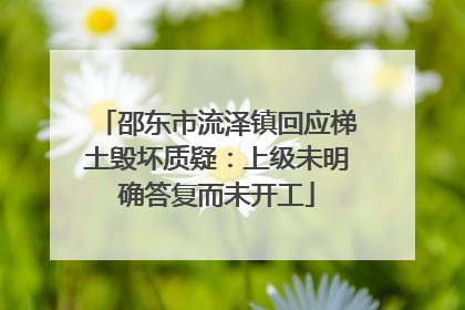 邵东市流泽镇回应梯土毁坏质疑：上级未明确答复而未开工