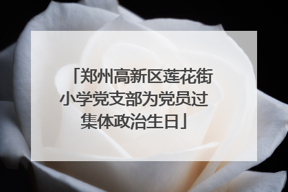 郑州高新区莲花街小学党支部为党员过集体政治生日