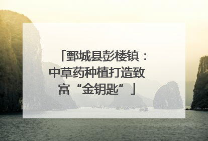 鄄城县彭楼镇：中草药种植打造致富“金钥匙”