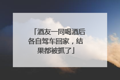 酒友一同喝酒后各自驾车回家，结果都被抓了
