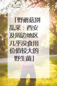 野蘑菇别乱采：西安及周边地区几乎没食用价值较大的野生菌
