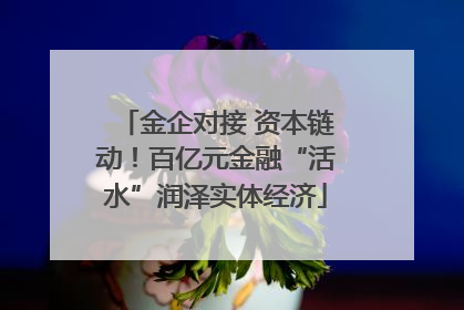 金企对接 资本链动！百亿元金融“活水”润泽实体经济