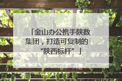 金山办公携手陕数集团，打造可复制的“陕西标杆”