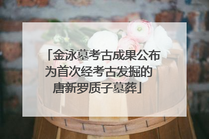金泳墓考古成果公布 为首次经考古发掘的唐新罗质子墓葬
