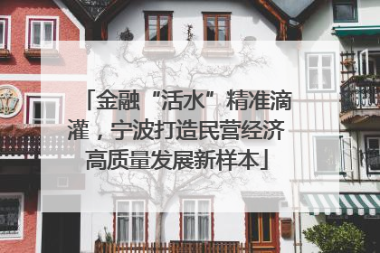 金融“活水”精准滴灌，宁波打造民营经济高质量发展新样本