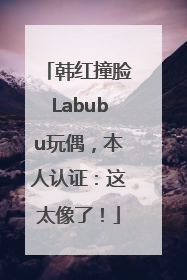 韩红撞脸Labubu玩偶，本人认证：这太像了！