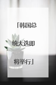 韩国总统大选即将举行