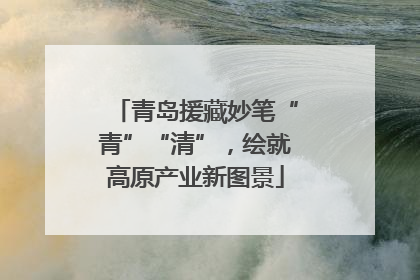 青岛援藏妙笔“青”“清”，绘就高原产业新图景