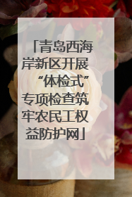 青岛西海岸新区开展“体检式”专项检查筑牢农民工权益防护网