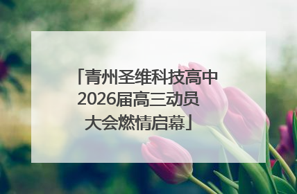 青州圣维科技高中2026届高三动员大会燃情启幕
