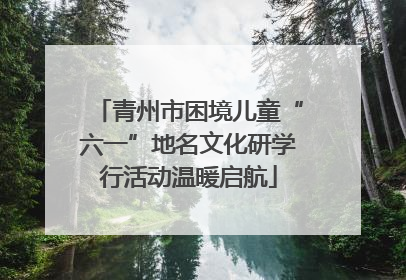 青州市困境儿童“六一”地名文化研学行活动温暖启航