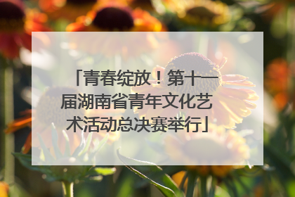 青春绽放！第十一届湖南省青年文化艺术活动总决赛举行