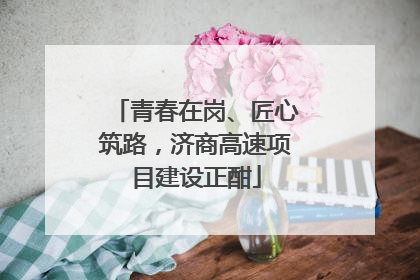 青春在岗、匠心筑路，济商高速项目建设正酣