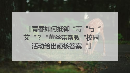 青春如何抵御“毒“与“艾“？“黄丝带帮教“校园活动给出硬核答案“