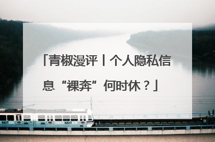 青椒漫评丨个人隐私信息“裸奔”何时休？