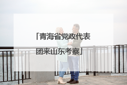 青海省党政代表团来山东考察