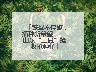 铁犁不停歇，播种新希望——山东“三夏”抢收抢种忙