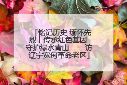 铭记历史 缅怀先烈丨传承红色基因 守护绿水青山——访辽宁宽甸革命老区