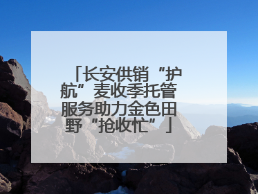 长安供销“护航”麦收季托管服务助力金色田野“抢收忙”