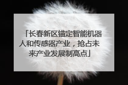 长春新区锚定智能机器人和传感器产业，抢占未来产业发展制高点