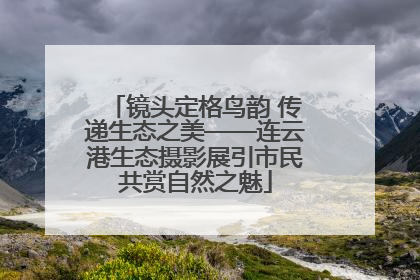 镜头定格鸟韵 传递生态之美——连云港生态摄影展引市民共赏自然之魅