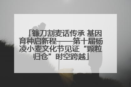 镰刀割麦话传承 基因育种启新程——第十届杨凌小麦文化节见证“颗粒归仓”时空跨越